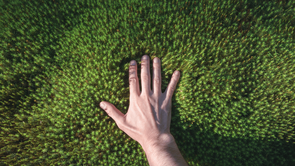 Sensory Processing Differences Touch And Texture
