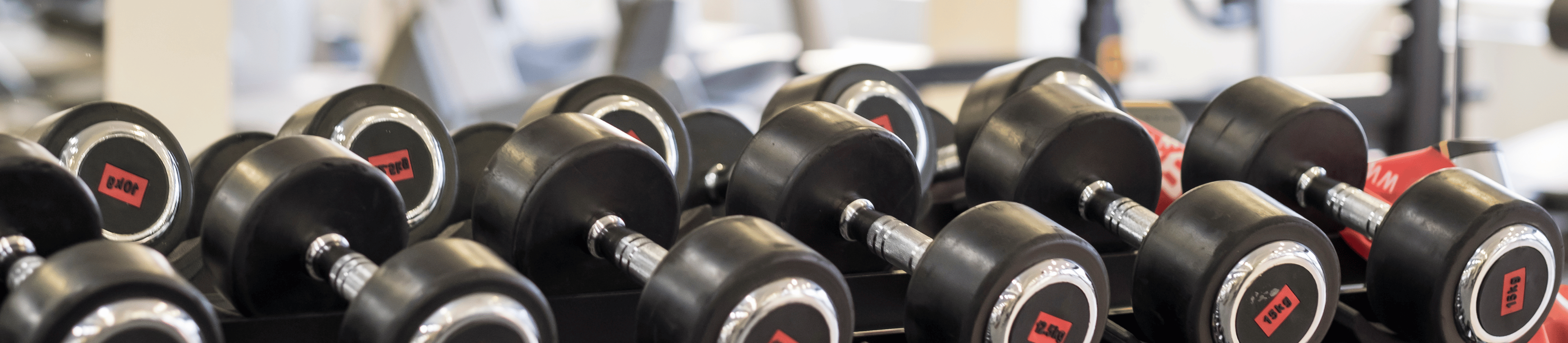 Fully Equipped Gym – Horizones Health And Fitness Centre