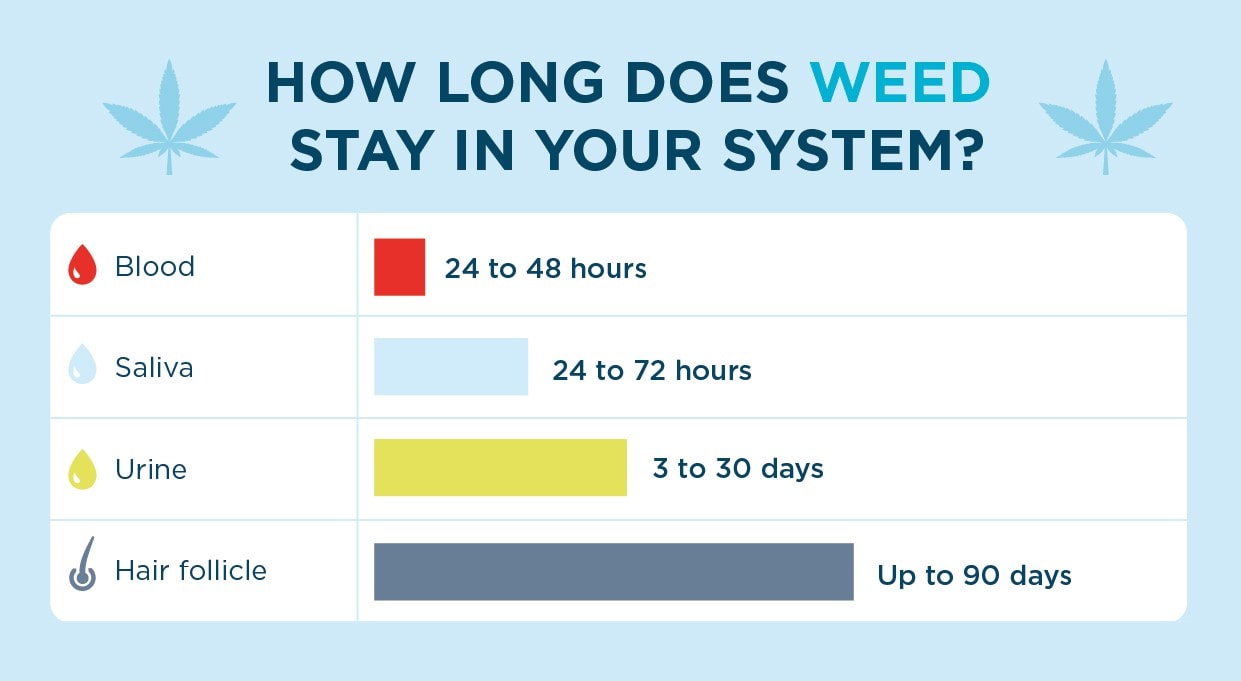 How Long Does Weed Stay In Your System Min 
