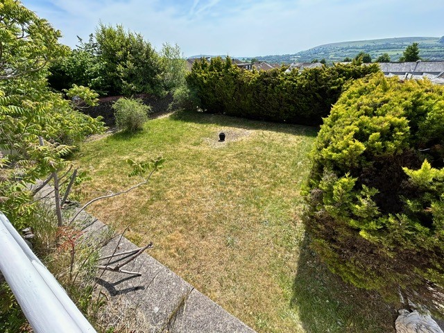 Daffodil Garden View