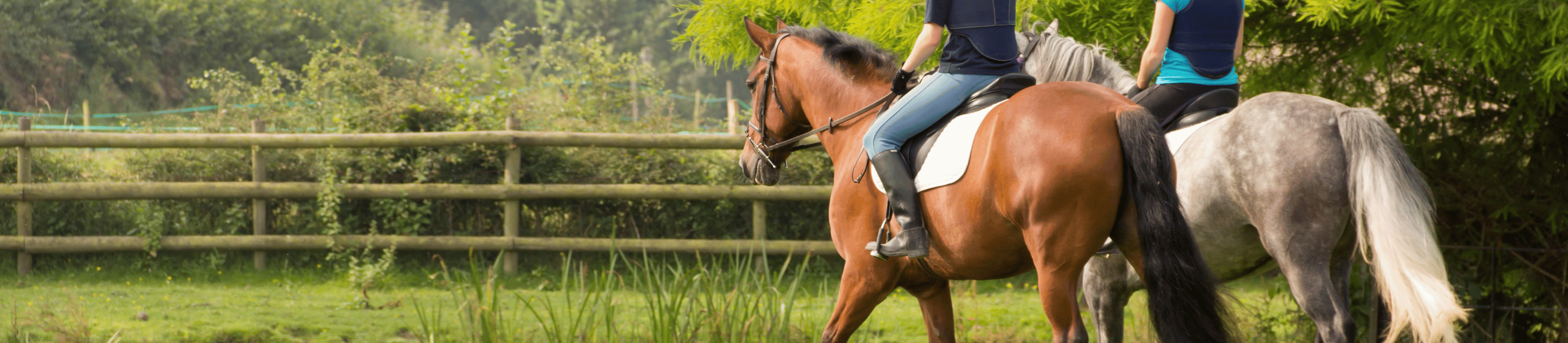 Horse Riding Orchard Cottage Riding Stables
