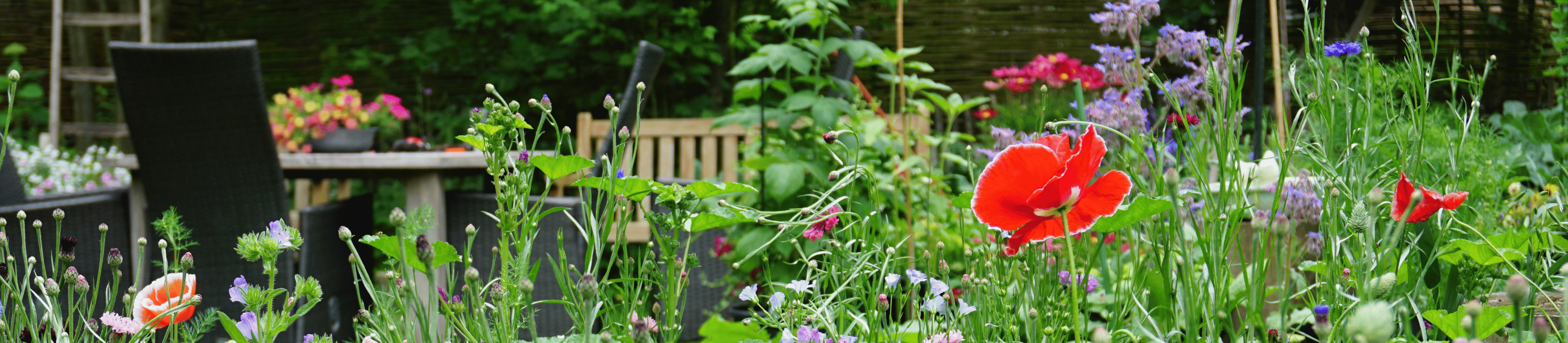 Peaceful And Secluded Garden