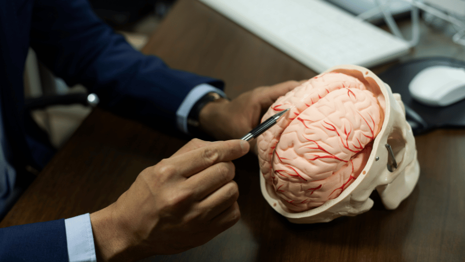 Neurodiversity Vs Neurotypical Thumbnail